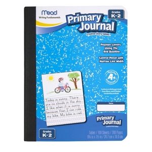 COPY - Mead Primary Journal